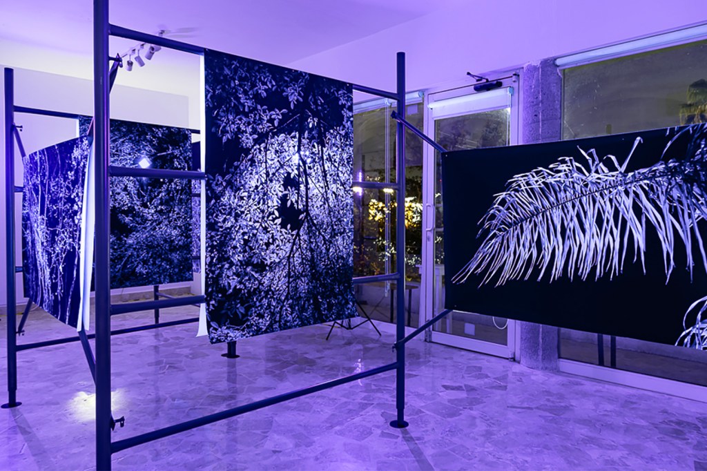 FLUORESCENTE Y FOTOSENSIBLE